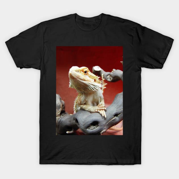 Bearded Dragon T-Shirt by Sloth Station